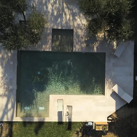 Villa Sous Les Pins Nîmes